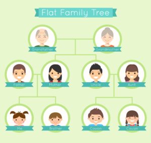 Statuory heirs Chart